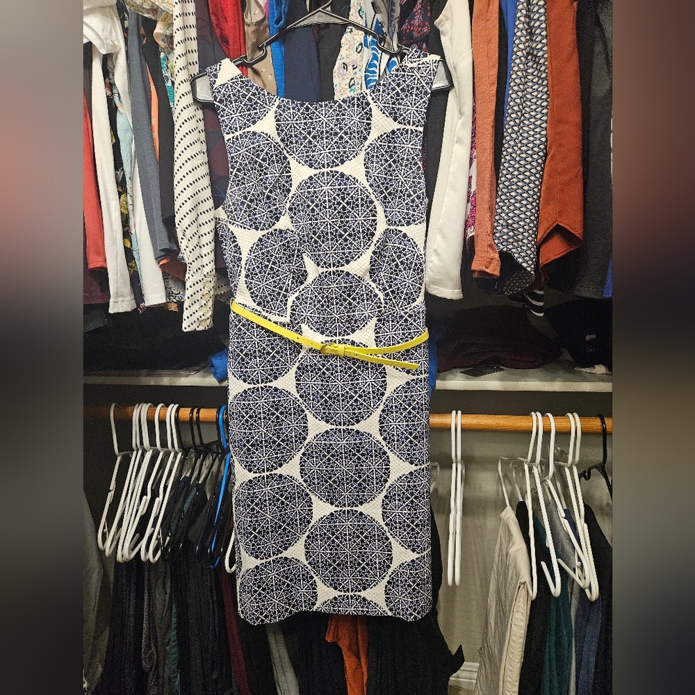 The Limited dress size 6